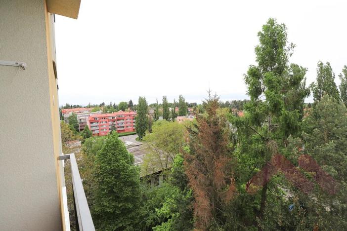 Prodej bytu 1+kk, Říčany, U Vodojemu, 20 m2