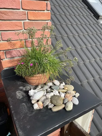 Prodej rodinného domu, Šardice, 300 m2