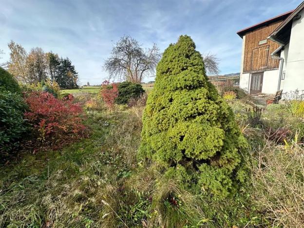 Prodej rodinného domu, Vlastiboř, 1750 m2