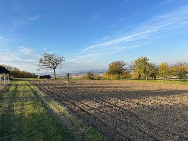 Prodej sadu/vinice, Blučina, 2677 m2