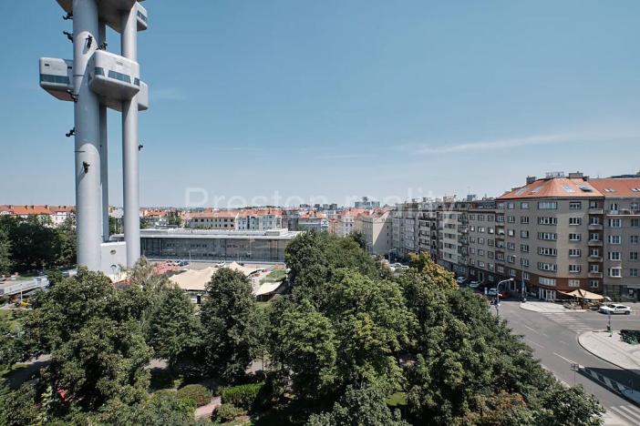 Pronájem bytu 2+1, Praha - Žižkov, Fibichova, 72 m2