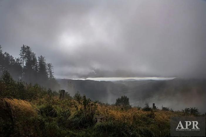 Prodej pozemku pro bydlení, Žítková, 6433 m2