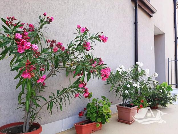 Prodej bytu 2+kk, Bjala, Bulharsko, 70 m2