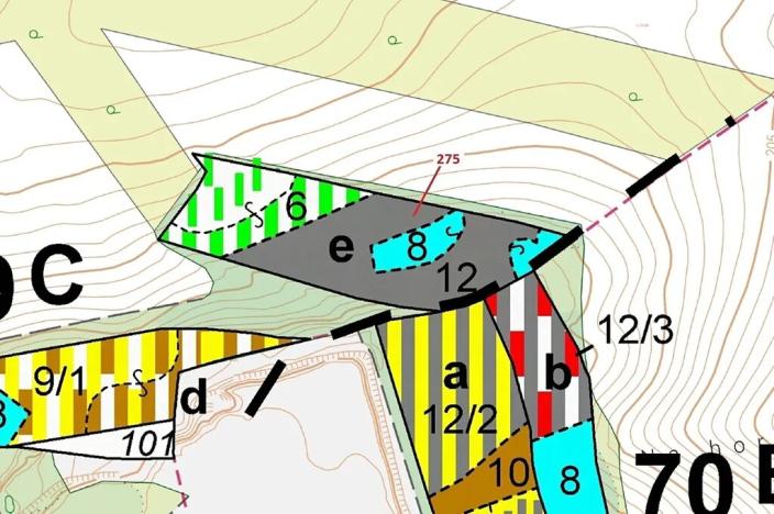Dražba lesa, Jeviněves, 10319 m2