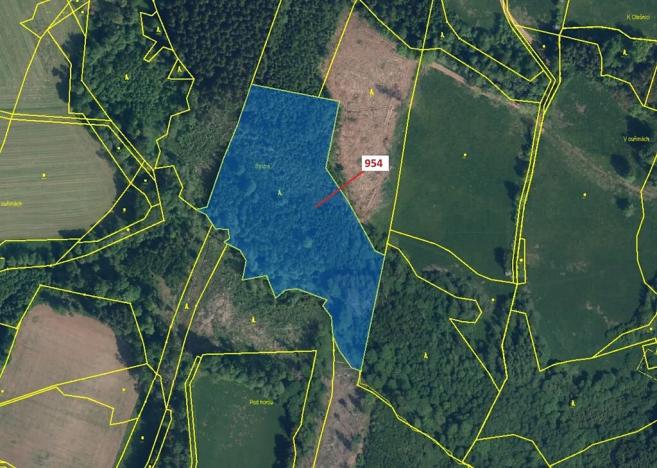 Dražba lesa, Bystrá nad Jizerou, 20539 m2