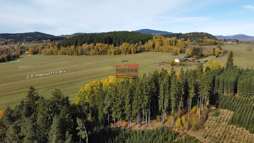 Prodej chaty, Horní Planá, 82 m2