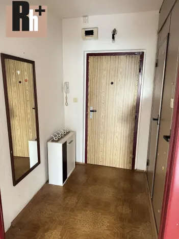 Prodej bytu 1+kk, Ostrava, Gen. Píky, 29 m2