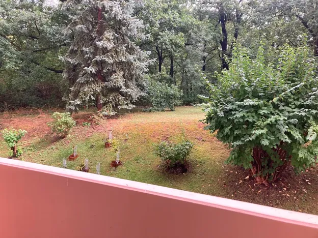 Prodej bytu 3+kk, Odolena Voda, 73 m2