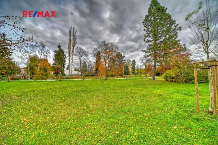 Pronájem bytu 1+kk, Poděbrady, Palackého, 48 m2