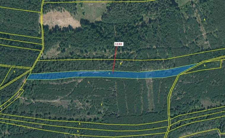 Dražba lesa, Jesenice, 7895 m2