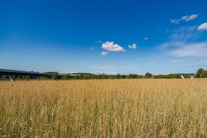 Prodej komerčního pozemku, Bělotín, 9952 m2