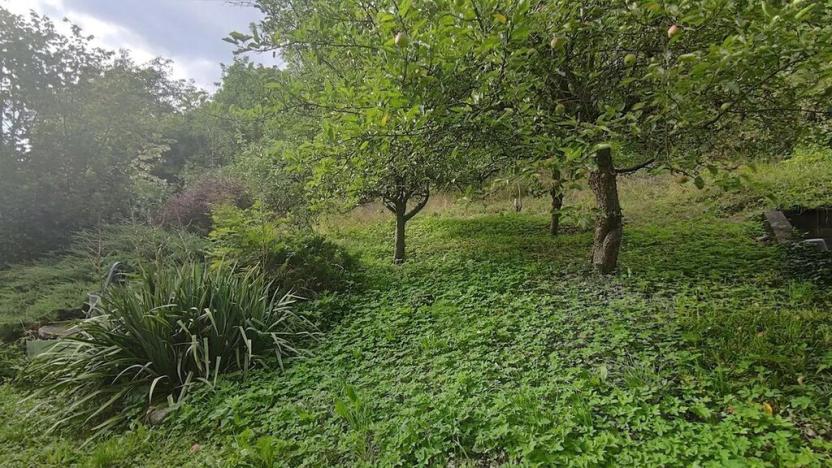 Prodej pozemku pro bydlení, Vysoké Mýto, Vinice, 1447 m2