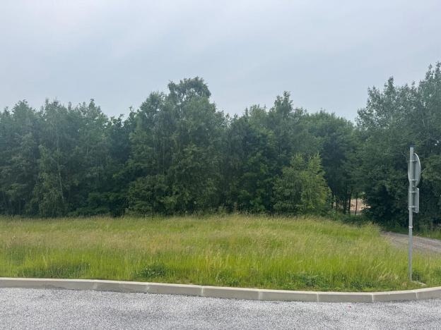 Prodej pozemku, Slavče - Dobrkovská Lhotka, 1251 m2