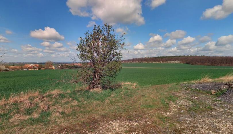 Prodej pole, Lovčice, 205582 m2