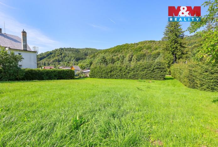 Prodej pozemku pro bydlení, Loučná nad Desnou - Kociánov, 8815 m2