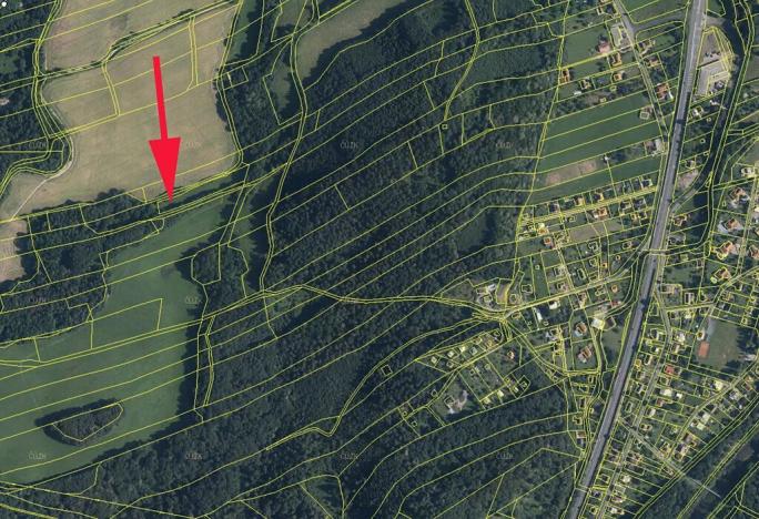 Prodej louky, Baška, 7894 m2