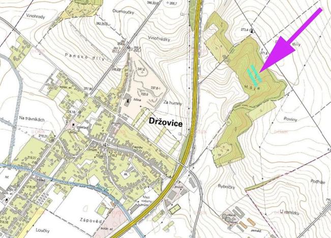 Prodej lesa, Držovice, 4332 m2