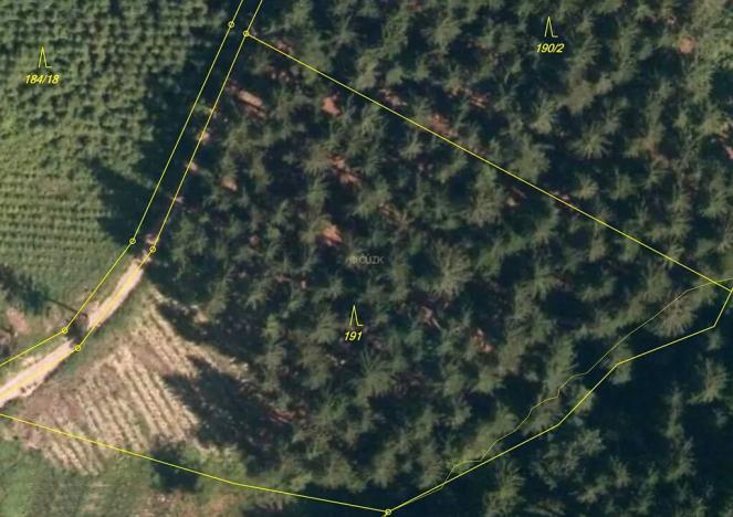 Prodej lesa, Lhota u Vsetína, 7226 m2