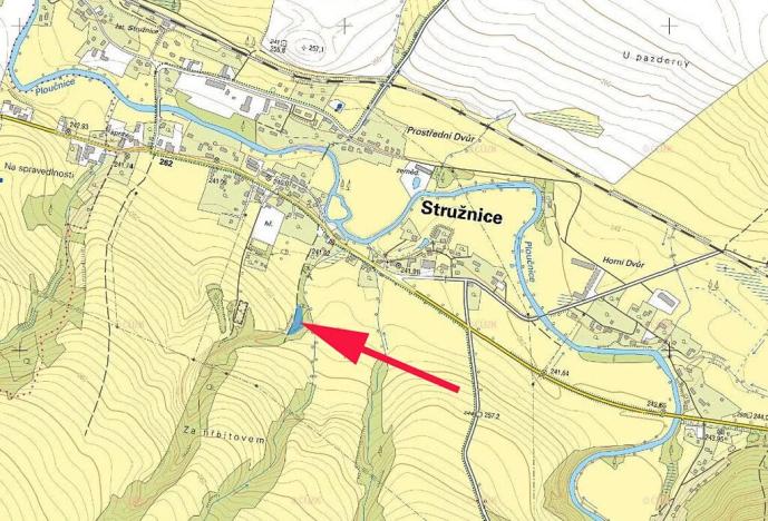Prodej lesa, Stružnice, 2484 m2