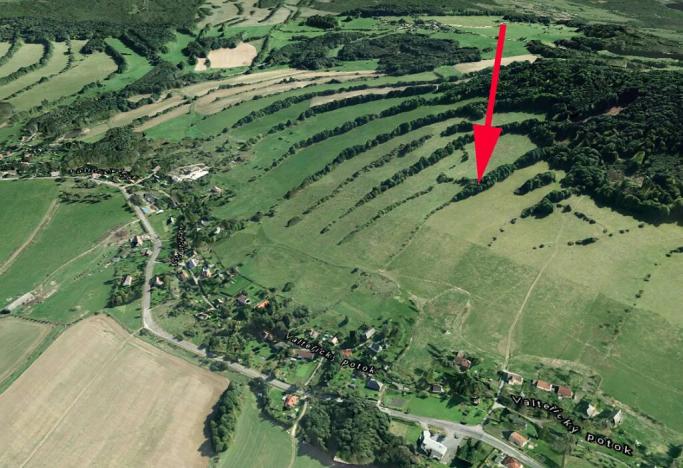 Prodej lesa, Žandov, 9354 m2