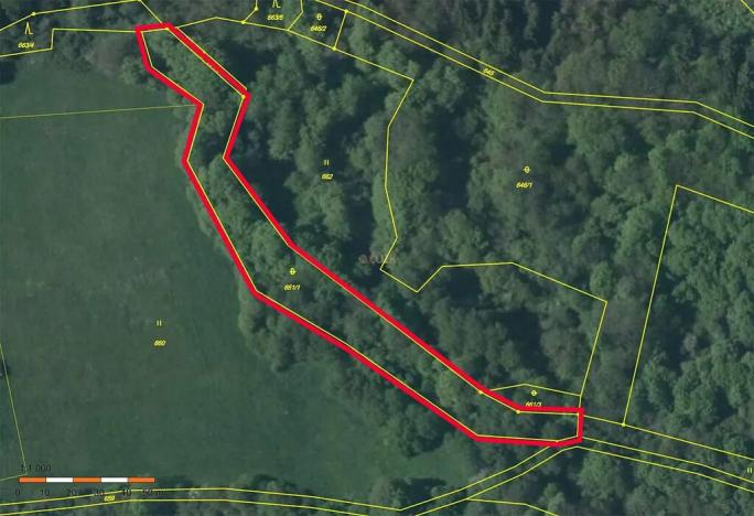 Prodej lesa, Kozly, 3340 m2