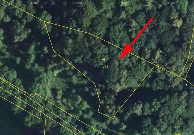 Prodej lesa, Stvolínky, 2465 m2