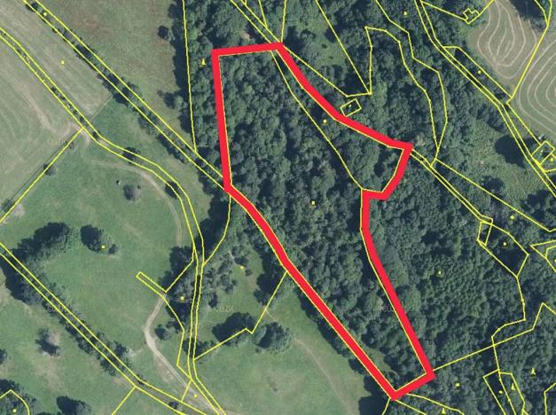 Prodej lesa, Trutnov, 21468 m2