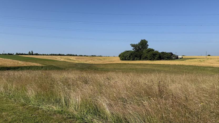 Pronájem louky, Ostrava - Polanka nad Odrou, K Lípě, 9850 m2