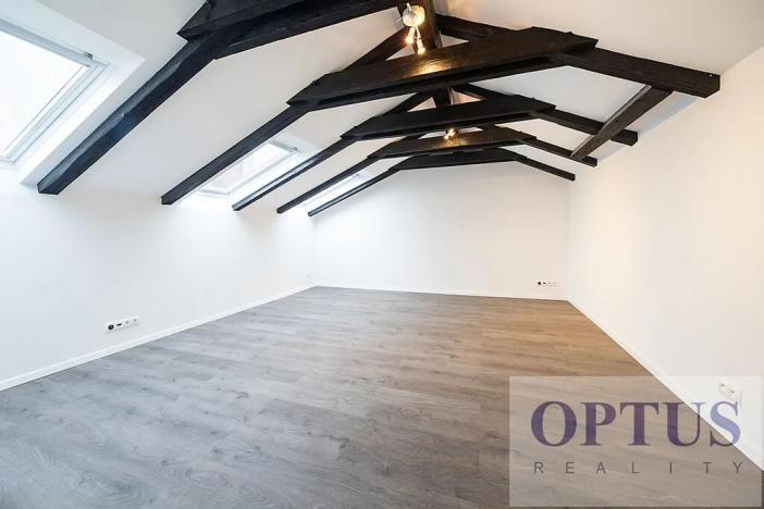 Pronájem bytu 6+kk a větší, Praha - Staré Město, Dušní, 218 m2