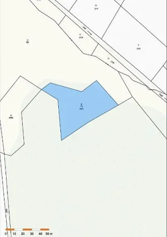 Prodej lesa, Nová Bystřice, 2801 m2