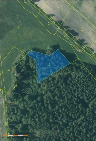 Prodej lesa, Nová Bystřice, 2801 m2