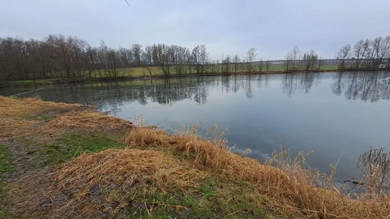 Prodej rybníku, Ostrava, 13195 m2