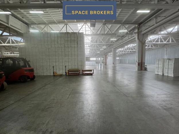 Pronájem skladu, Ostrava, 5800 m2