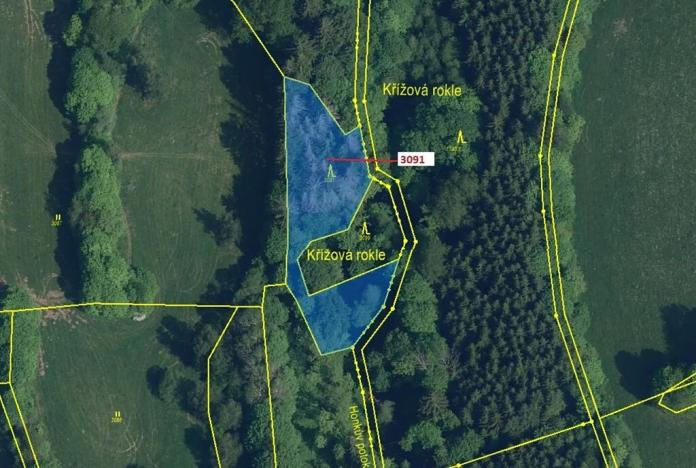 Dražba lesa, Benešov u Semil, 1964 m2