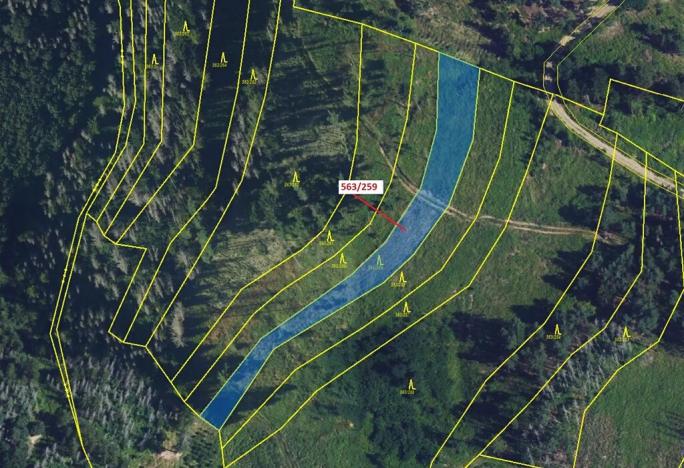 Dražba lesa, Spešov, 2318 m2