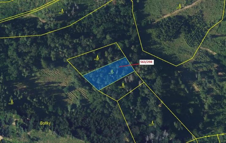 Dražba lesa, Spešov, 1372 m2