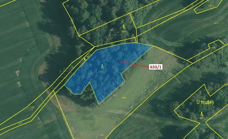 Dražba lesa, Bednáreček, 2802 m2