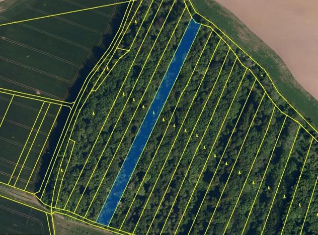 Dražba lesa, Hradčany-Kobeřice, 6360 m2