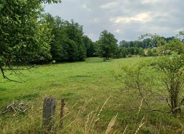 Dražba pozemku, Nový Bor, 1772 m2