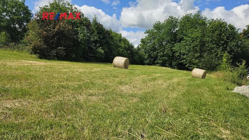 Prodej pozemku pro bydlení, Český Těšín, 2326 m2