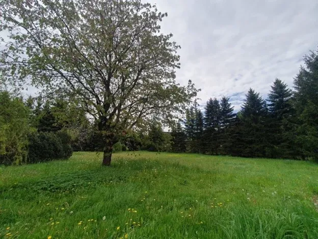 Prodej chalupy, Jindřichovice pod Smrkem, 150 m2