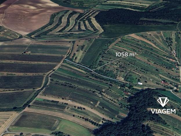 Prodej podílu pole, Mutěnice, 352 m2