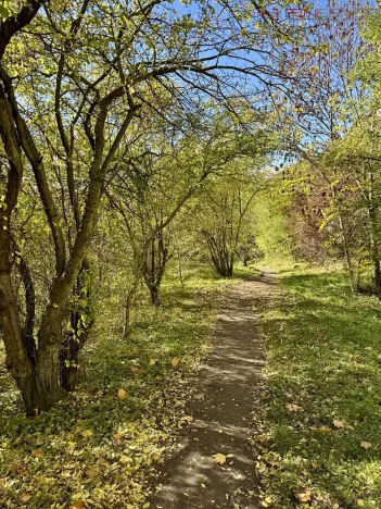 Prodej bytu 3+kk, Praha - Libeň, Budilova, 70 m2