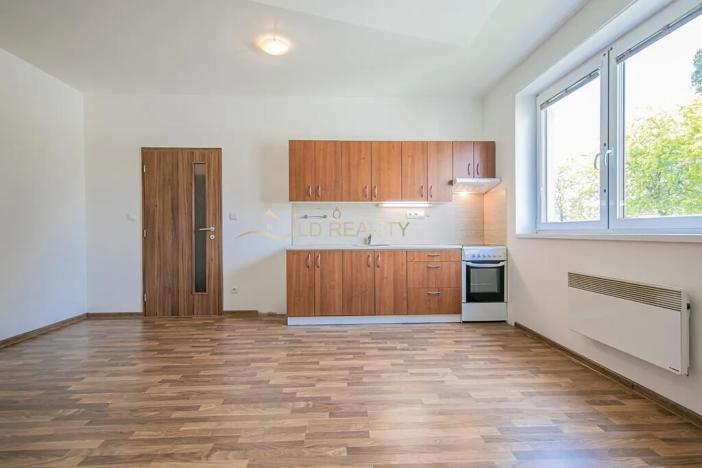 Pronájem bytu 1+kk, Olomouc, Edisonova, 35 m2