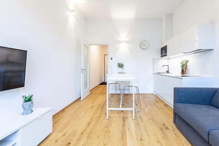 Pronájem bytu 1+kk, Praha, Na dračkách, 29 m2