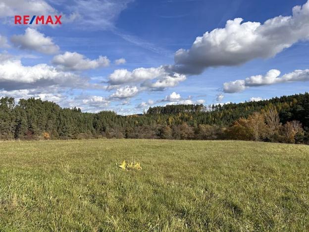 Prodej pozemku pro bydlení, Radošovice, 723 m2