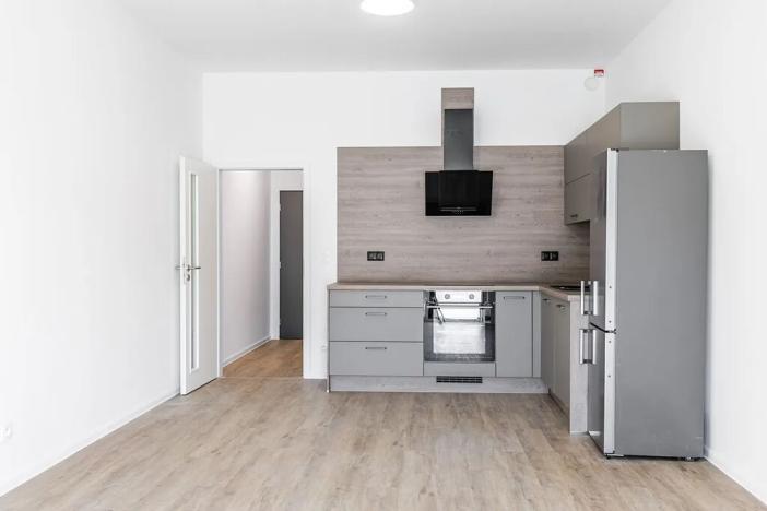 Pronájem bytu 1+kk, České Budějovice, 43 m2
