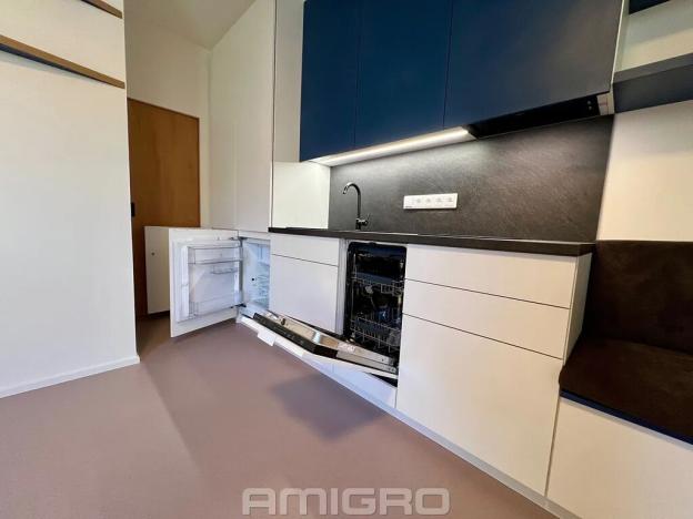 Pronájem bytu 1+kk, Brno, Peroutková, 25 m2