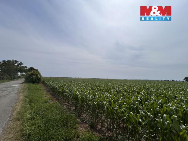 Prodej pole, Prostějov - Žešov, 8491 m2