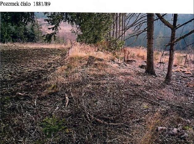 Prodej lesa, Kamenice nad Lipou, 5521 m2